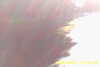 20180828-MOVI0000-frame0003.jpg