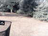 20180910-MOVI0019-frame0005.jpg