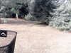 20180910-MOVI0020-frame0003.jpg