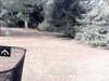 20180910-MOVI0020-frame0005.jpg