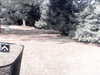 20180910-MOVI0030-frame0004.jpg