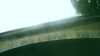 2018-09-13:Boating Hatcam
