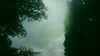 20180913-MOVI0004-frame0003.jpg