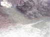 20180914-MOVI0053-frame0005.jpg