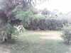 20180914-MOVI0061-frame0004.jpg