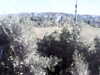20180916-MOVI0005-frame0004.jpg