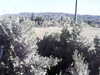 20180916-MOVI0007-frame0004.jpg