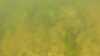 20180917-00004-frame0006.jpg