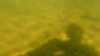 20180917-00009-frame0005.jpg