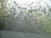 20180918-MOVI0011-frame0002.jpg