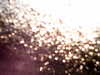 20180918-MOVI0012-frame0003.jpg