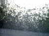 20180918-MOVI0019-frame0002.jpg