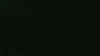 20180919-MOVI0004-frame0001.jpg