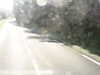 20180919-MOVI0021-frame0001.jpg