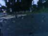20180923-MOVI0018-frame0001.jpg
