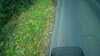 20181008-MOVI0016-frame0005.jpg