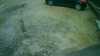20181008-MOVI0017-frame0001.jpg