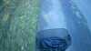20181009-MOVI0008-frame0001.jpg