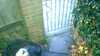 20181016-MOVI0000-frame0003.jpg