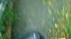 20181016-MOVI0005-frame0001.jpg