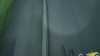 20181017-MOVI0028-frame0003.jpg