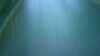 20181017-MOVI0035-frame0001.jpg