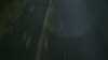 20181018-MOVI0007-frame0004.jpg