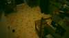 20181018-MOVI0020-frame0002.jpg