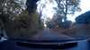 20181023-17590001-frame0004.jpg