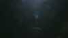 20181102-MOVI0003-frame0001.jpg