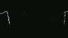 20181102-MOVI0013-frame0003.jpg