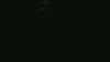 20181102-MOVI0016-frame0002.jpg