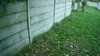 20181103-MOVI0001-frame0005.jpg