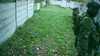 20181103-MOVI0002-frame0001.jpg