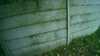 20181103-MOVI0003-frame0001.jpg