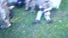 20181103-MOVI0009-frame0004.jpg