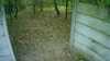 20181103-MOVI0014-frame0004.jpg