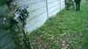 20181103-MOVI0015-frame0005.jpg