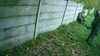 20181103-MOVI0016-frame0005.jpg