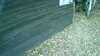 20181103-MOVI0025-frame0003.jpg