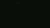 20181103-MOVI0038-frame0001.jpg