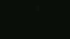 20181103-MOVI0041-frame0001.jpg