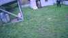 20181104-MOVI0003-frame0005.jpg