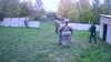 20181104-MOVI0004-frame0003.jpg