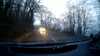 20190121-09370006-frame0002.jpg