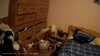 20190319-_181339_010-frame0002.jpg