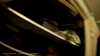 20190319-_183339_014-frame0002.jpg