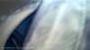 20190323-_112315_002-frame0005.jpg