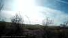 20190323-_113815_005-frame0001.jpg