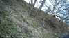 20190323-_121539_010-frame0002.jpg